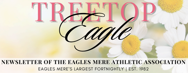 Treetop Eagle