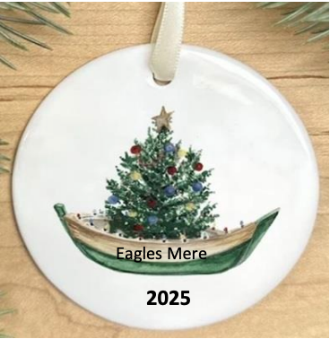 Christmas ornament 2025